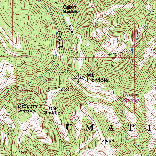 Topographic Map of Mount Horrible, WA