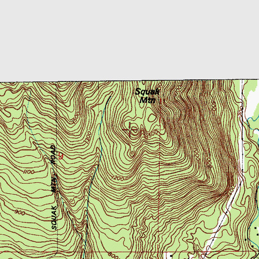 Topographic Map of Squak Mountain, WA