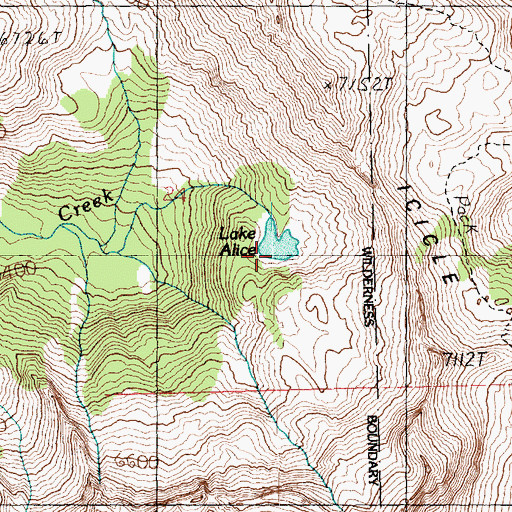 Topographic Map of Lake Alice, WA