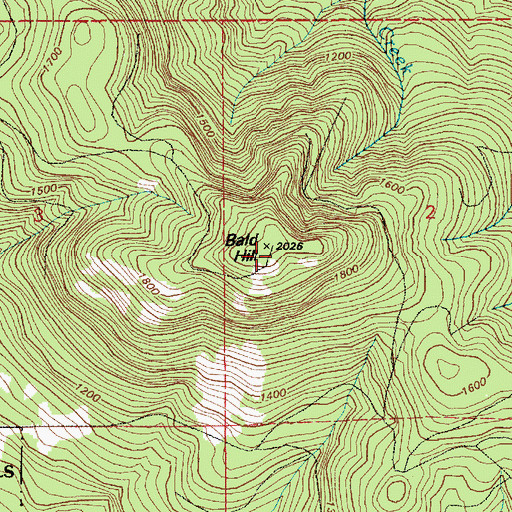 Topographic Map of Bald Hill, WA