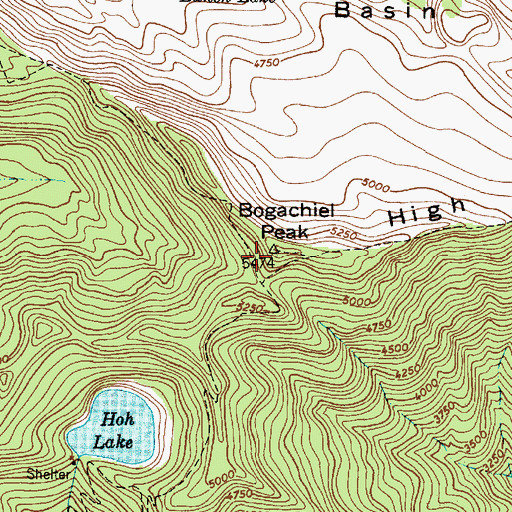 Topographic Map of Bogachiel Peak, WA