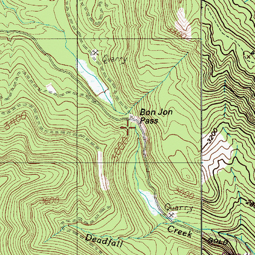 Topographic Map of Bon Jon Pass, WA