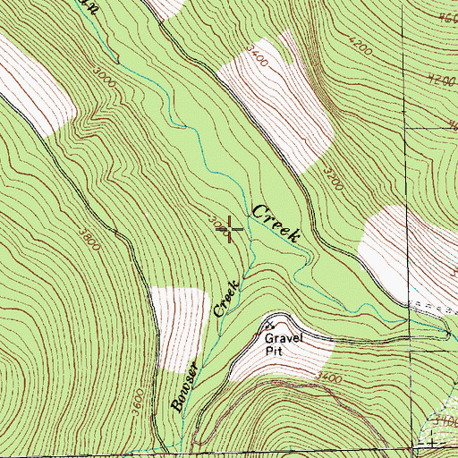 Topographic Map of Bowser Creek, WA