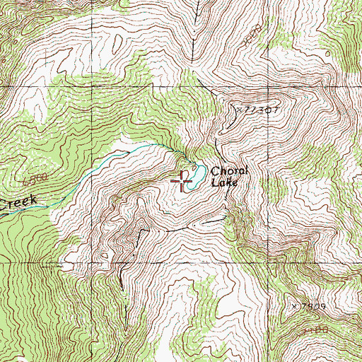 Topographic Map of Choral Lake, WA
