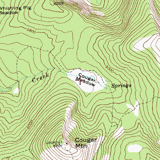 Topographic Map of Cougar Meadow, WA