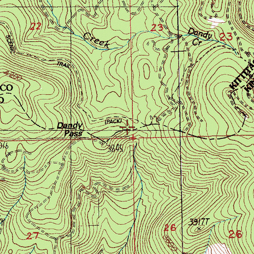 Topographic Map of Dandy Pass, WA
