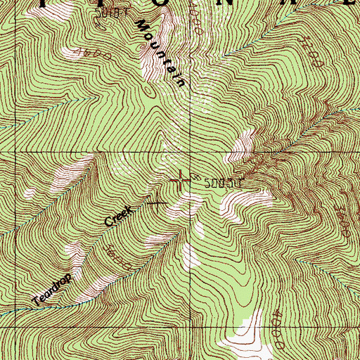 Topographic Map of Dixon Mountain, WA