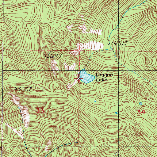 Topographic Map of Dragon Lake, WA
