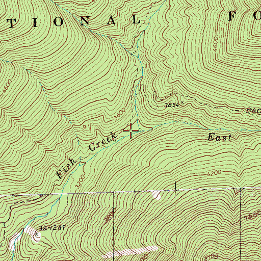 Topographic Map of East Fork Fish Creek, WA