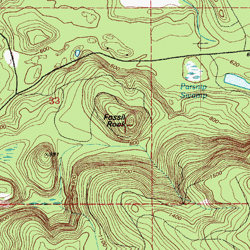 Topographic Map of Fossil Rock, WA