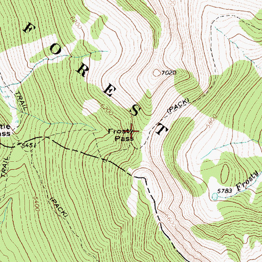 Topographic Map of Frosty Pass, WA