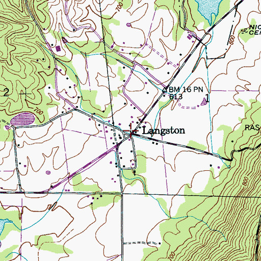 Topographic Map of Langston, AL
