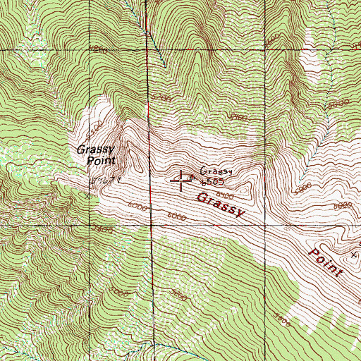 Topographic Map of Grassy Point, WA