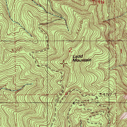 Topographic Map of Ladd Mountain, WA