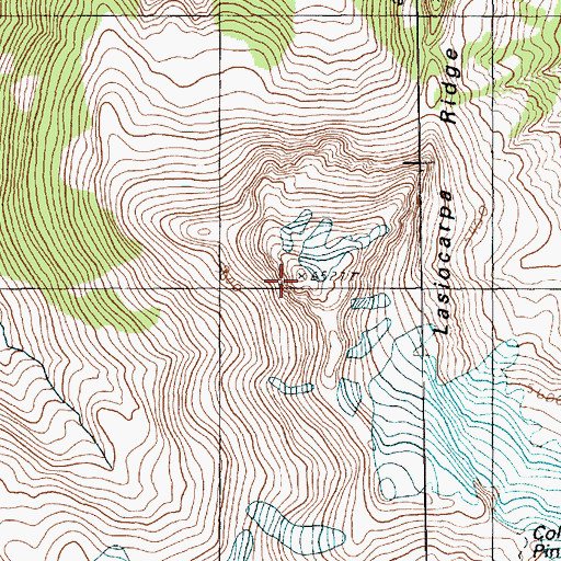 Topographic Map of Lasiocarpa Ridge, WA