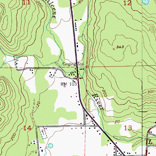 Topographic Map of Leland Creek, WA