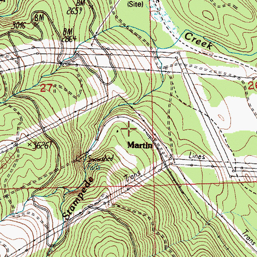 Topographic Map of Martin, WA