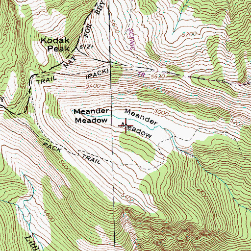 Topographic Map of Meander Meadow, WA