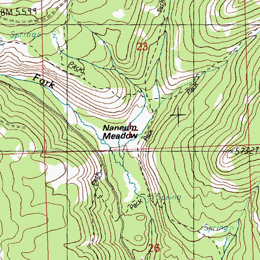 Topographic Map of Naneum Meadow, WA