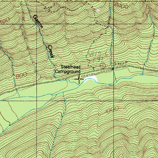 Topographic Map of Ninemile Camp, WA