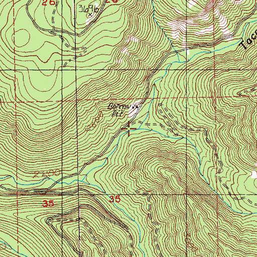 Topographic Map of Pioneer Creek, WA