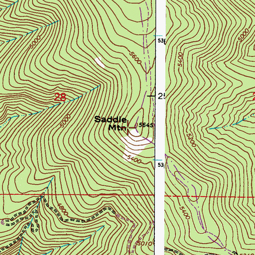 Topographic Map of Saddle Mountain, WA