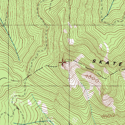Topographic Map of Skate Mountain, WA