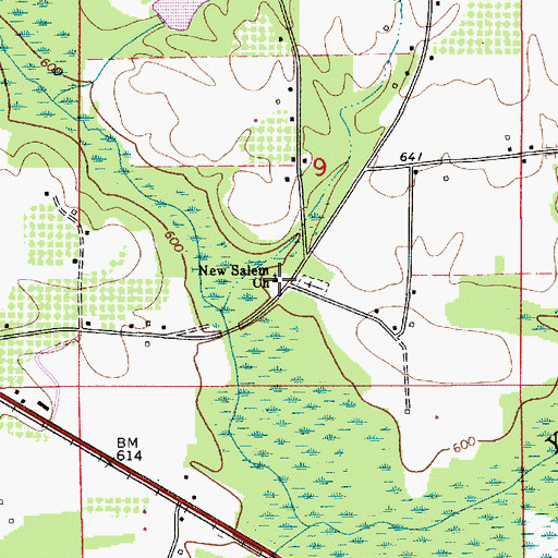 Topographic Map of New Salem Baptist Church, AL