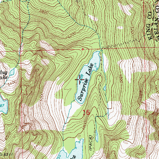 Topographic Map of Surprise Lake, WA