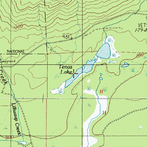 Topographic Map of Tenas Lake, WA