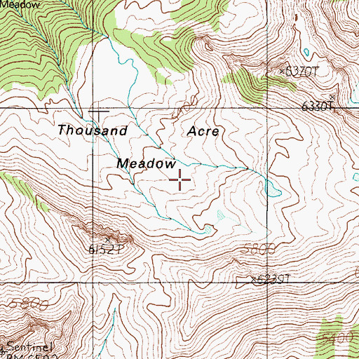 Topographic Map of Thousand Acre Meadow, WA
