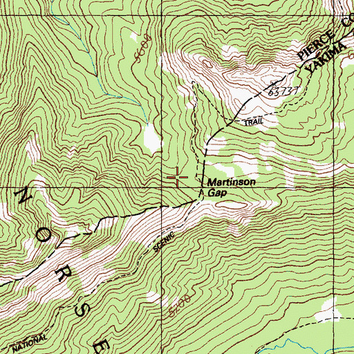 Topographic Map of Martinson Gap, WA