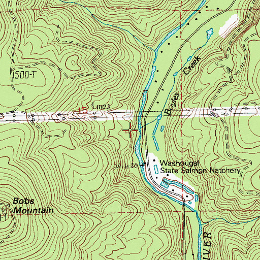 Topographic Map of Boyles Creek, WA