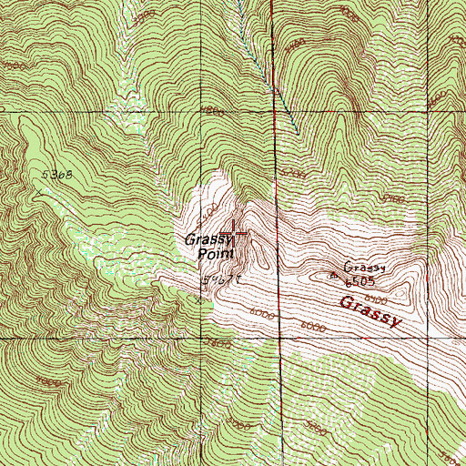 Topographic Map of Grassy Point, WA