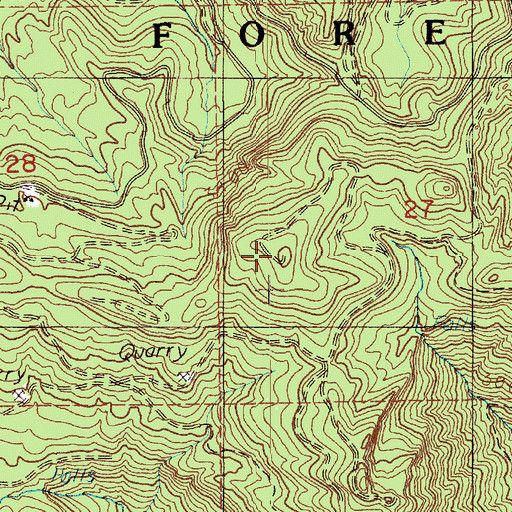 Topographic Map of Ladd Lookout, WA