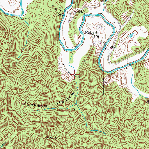 Topographic Map of Buckeye Hollow, WV
