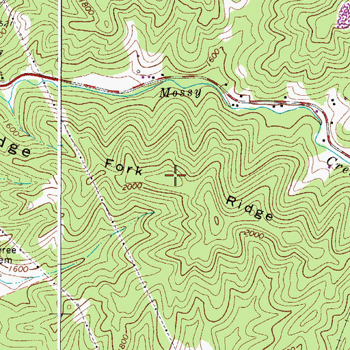 Topographic Map of Fork Ridge, WV