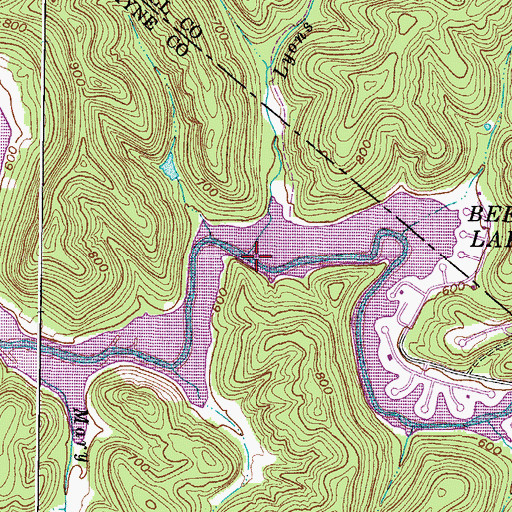 Topographic Map of Lyons Branch, WV