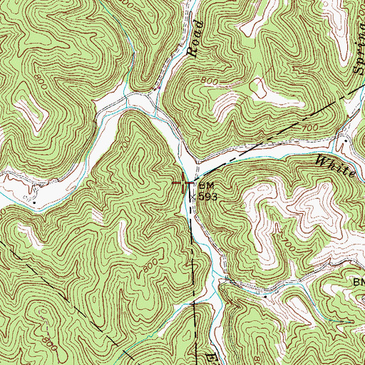 Topographic Map of White Pine Creek, WV