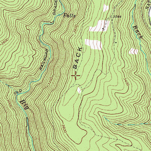Topographic Map of Back Ridge Trail, WV