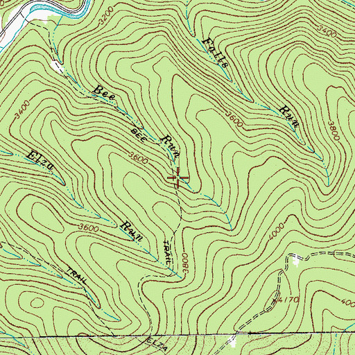 Topographic Map of Bee Trail, WV