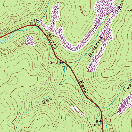 Topographic Map of Hamrick Run, WV