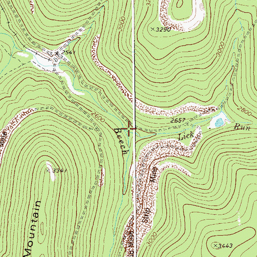 Topographic Map of Lick Run, WV