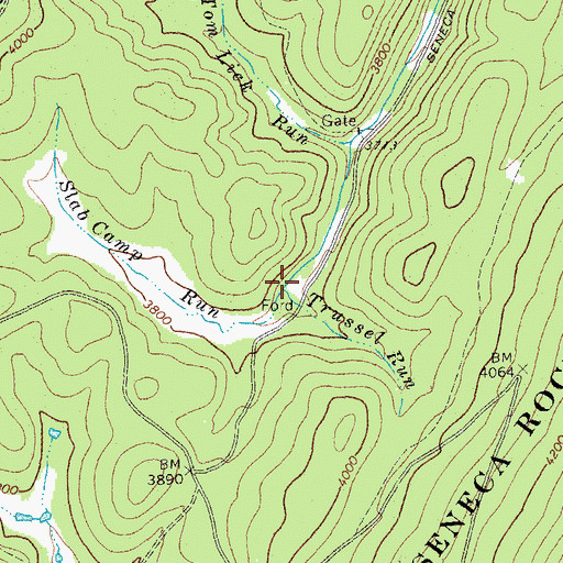 Topographic Map of Slab Camp Run, WV