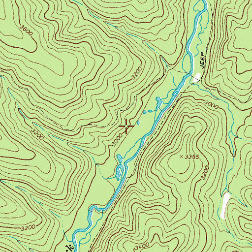 Topographic Map of Stone Camp Run Trail, WV