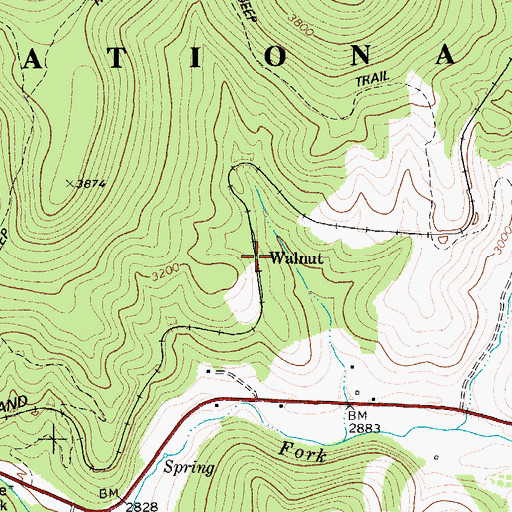 Topographic Map of Walnut, WV