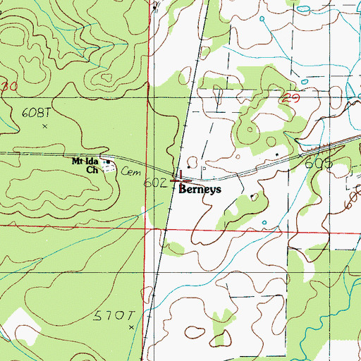 Topographic Map of Berneys, AL