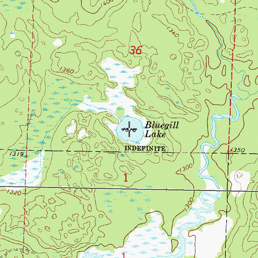 Topographic Map of Bluegill Lake, WI