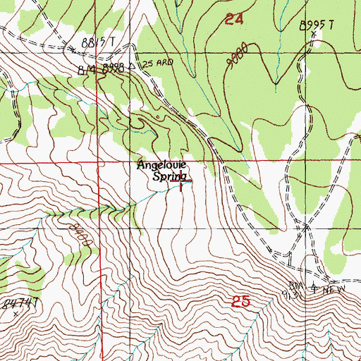 Topographic Map of Angelovie Spring, WY