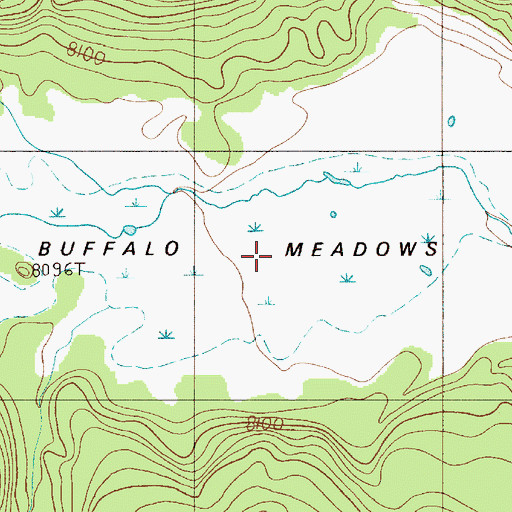 Topographic Map of Buffalo Meadows, WY